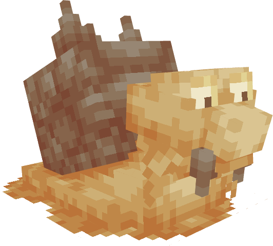 dunecargo